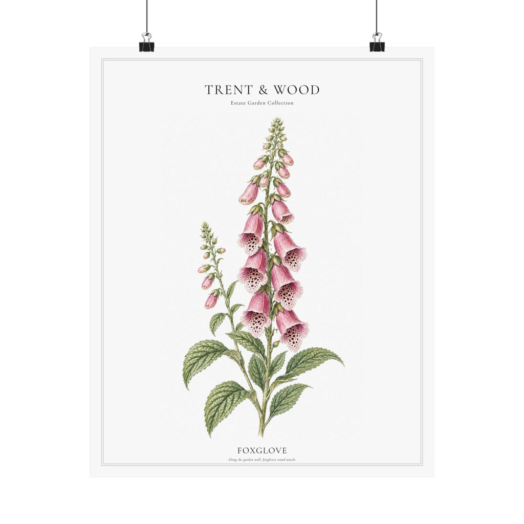 Foxglove | Botanical Print