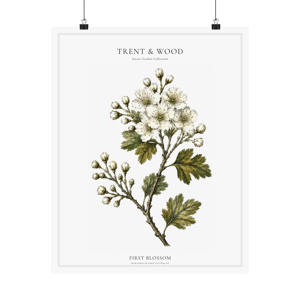 First Blossom | Botanical Print